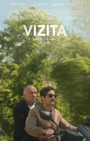 Vizita — poster