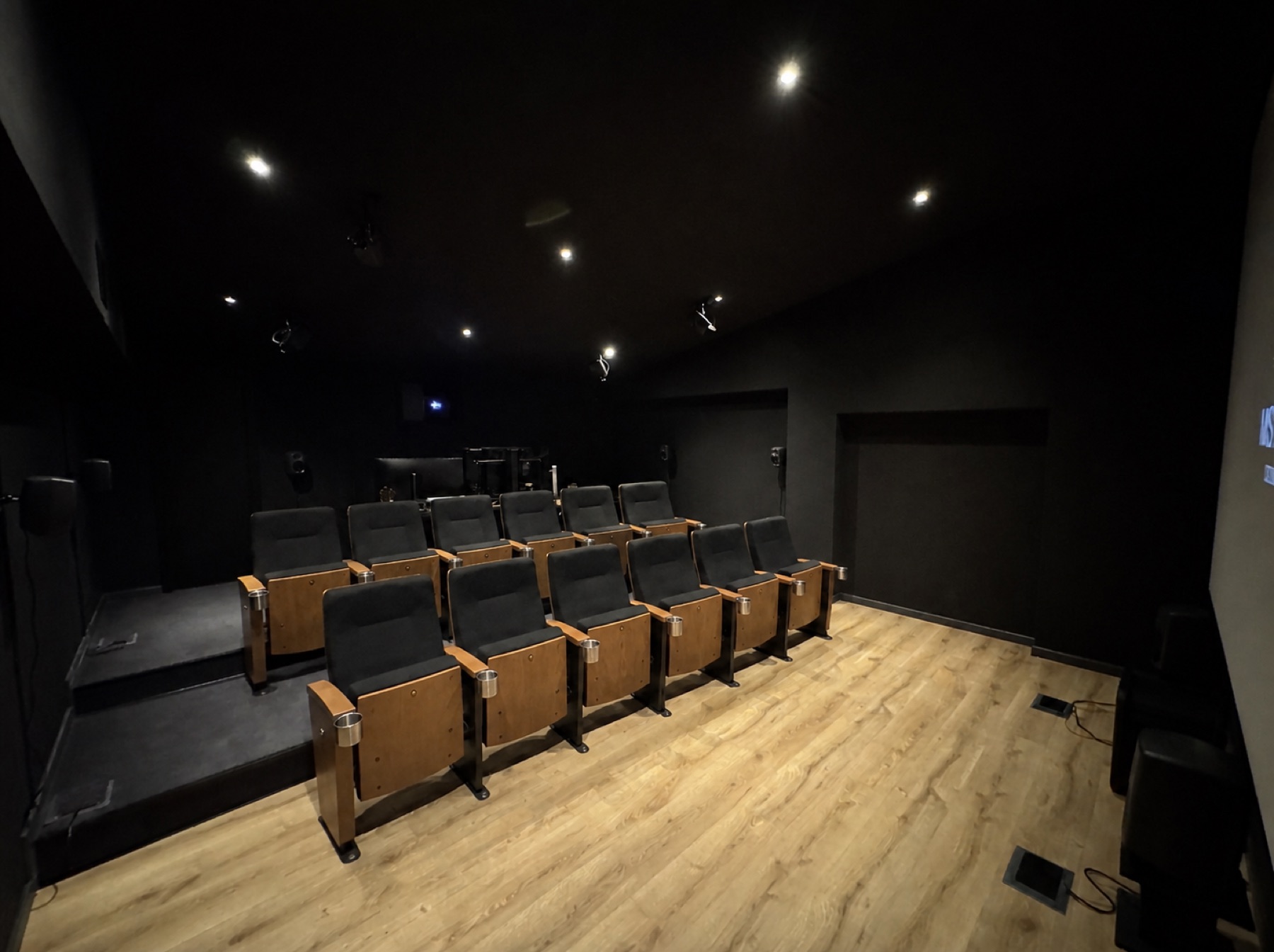 Misterio Color Lab screening theatre
